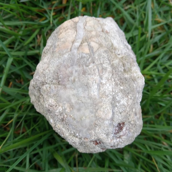 1-1/2 Lb Whole Unopened Hollow Break Your Own Geodes Rattler - Picture 5 of 10